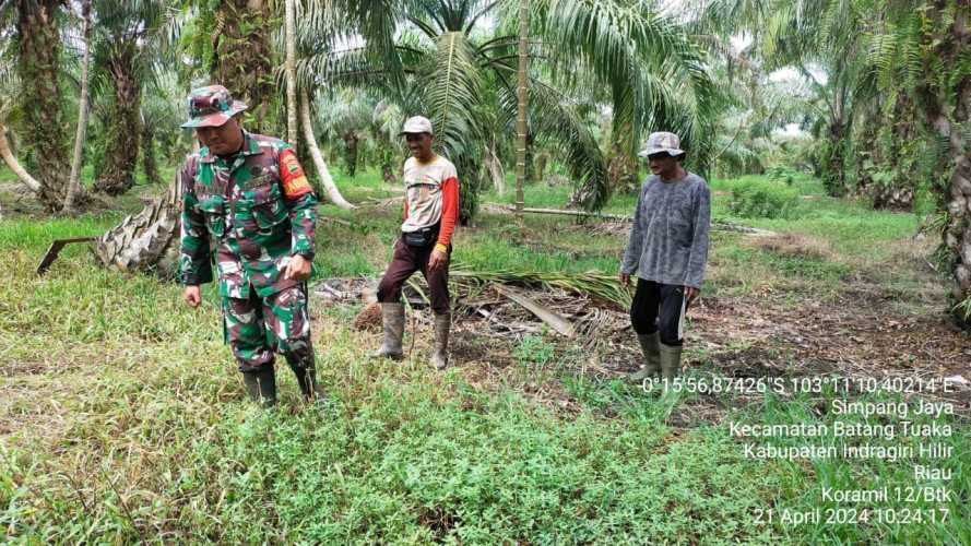 Serda Siswanto Upayakan Penanganan Karhutlah Secara Terpadu