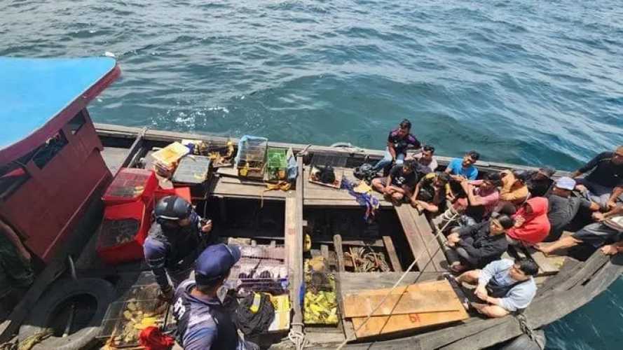 Penyelundupan PMI dan Satwa Langka di Selat Malaka di Gagalkan TNI AL