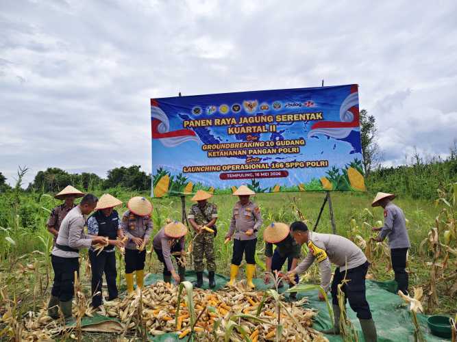 Kapolres Inhil Hadiri Panen Raya Jagung Serentak, Wujud Nyata Dukungan Ketahanan Pangan Nasional