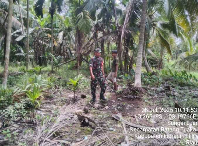 Babinsa Patroli dan Sosialisasi Karhutla di Wilayah Koramil 12/Batang Tuaka