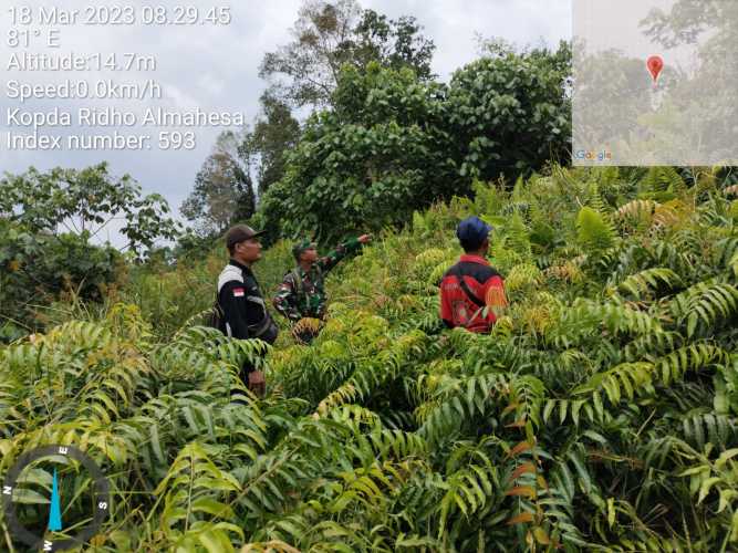 Kopda Ridho Almahesa Sterilkan Hutan Lindung