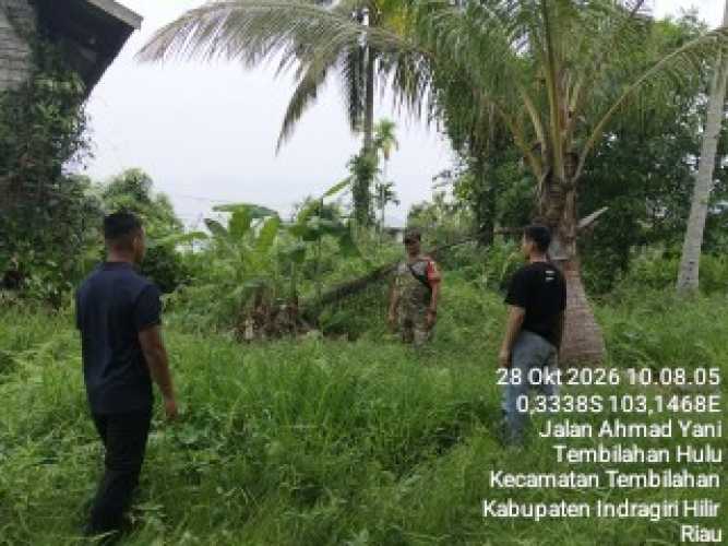 Lindungi Lahan Warga dari Ancaman Kebakaran, Serda Ronald Manalu Pimpin Patroli Karhutla