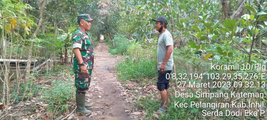 Babinsa Simpang Kateman Kumpulkan Informasi Sebaran Karhutlah