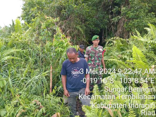 Babinsa Sungai Beringin Lakukan Screening Area Rawan Karhutlah