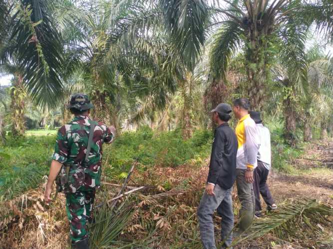 Babinsa Sialang Panjang Laksanakan Patroli Pengawalan Tapal Batas, Situasi Wilayah Tetap Aman