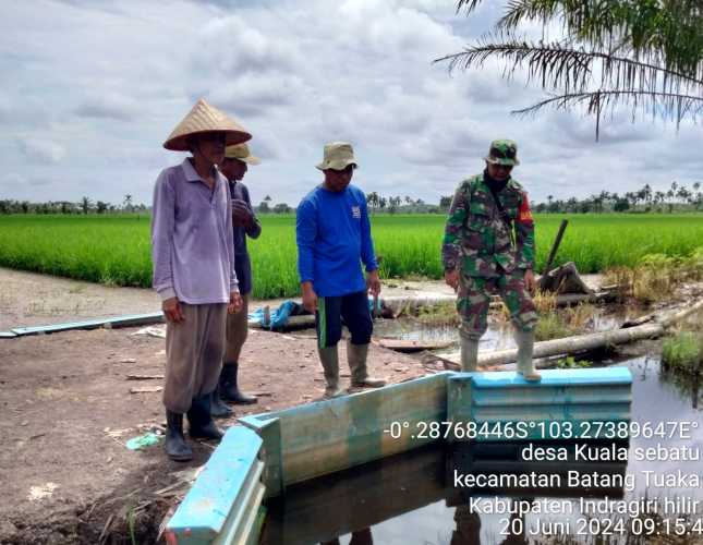 Babinsa Kuala Sebatu Rutin Cek Sistem Pengairan Sawah