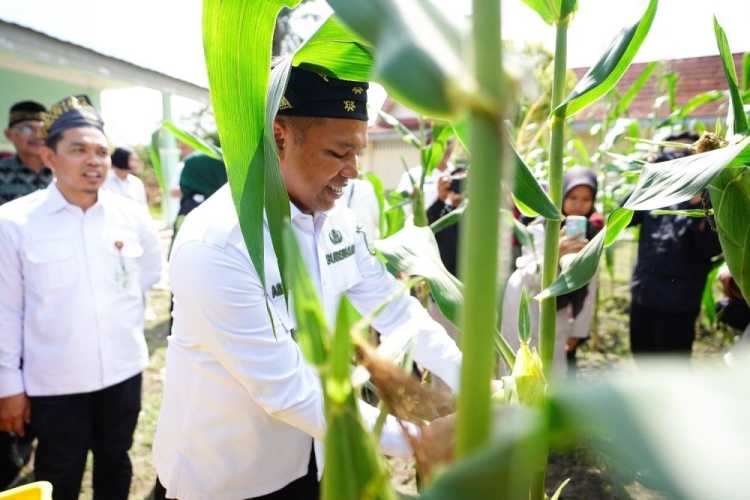 Gubri Abdul Wahid Buka Sekolah Eduwisata Pertanian, Satukan Budaya Melayu dan Cinta Pertanian