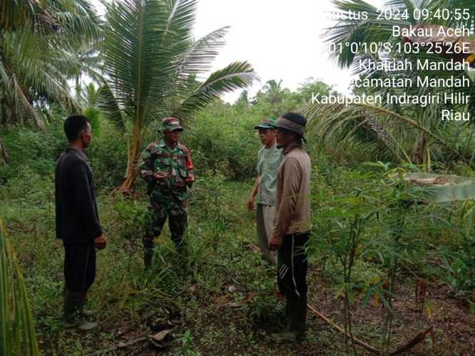 Sertu Mistar Cegah Lahan Perkebunan Warga dari Karhutlah