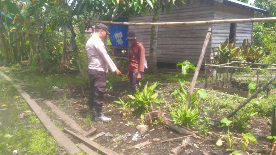 Bantu Kemandirian Pangan, Babinkamtibmad Ajak Optimalkan Lahan Pekarangan