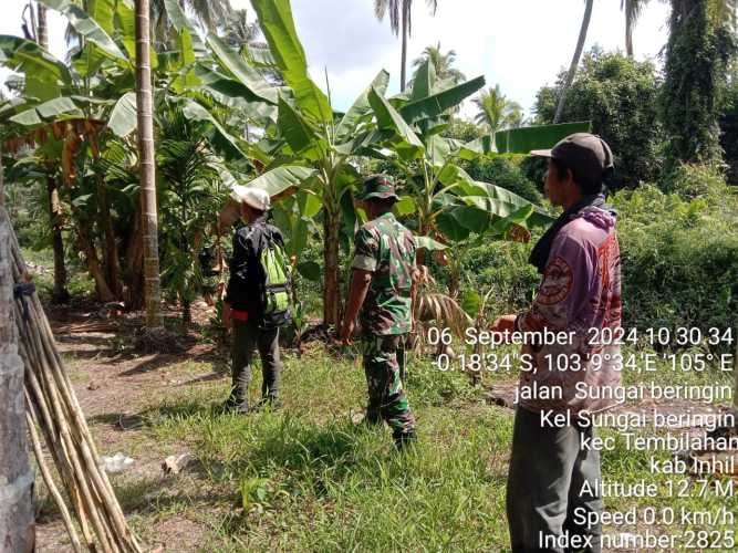 Peltu Jaharazam Gelar Patroli Karhutlah di Kelurahan Sungai Beringin