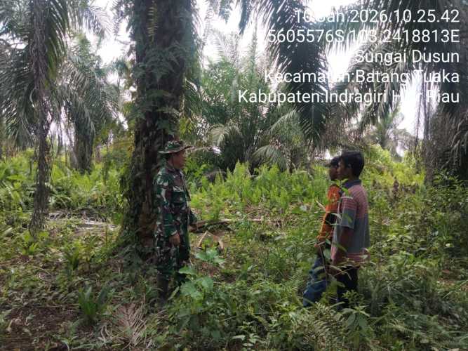 Babinsa Desa Sungai Dusun menjaga kontinuitas patroli dan sosialisasi pencegahan Karhutla