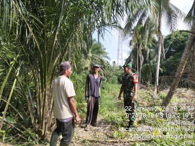 Babinsa Desa Pulau Palas dalam menjaga tapal batas desa dari ancaman kamtibmas