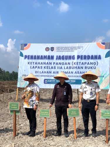 Bupati Asahan Hadiri Penanaman Jagung Perdana Program Ketahanan Pangan