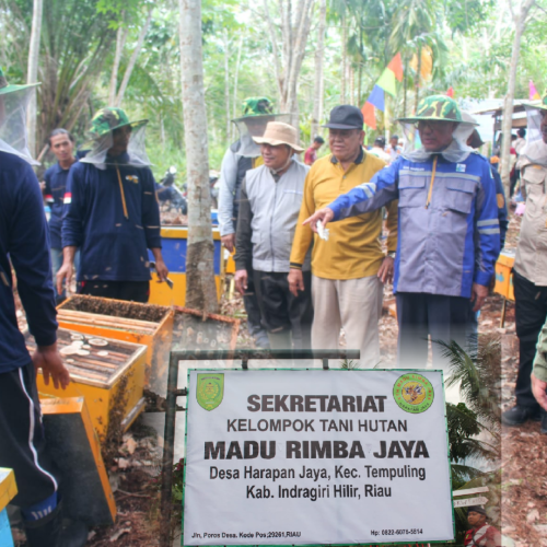 Bupati H.M Wardan Meninjau Proses Panen Madu Serta Mendengarkan Keluhan Para Petaninya