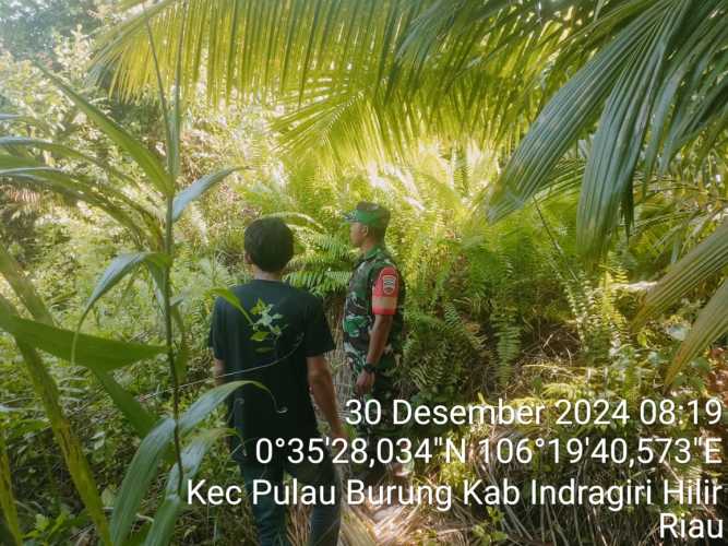 Aman dari Karhutla,Babinsa Koramil 11/PBR Berjaga di Desa Bangun Harjo Jaya