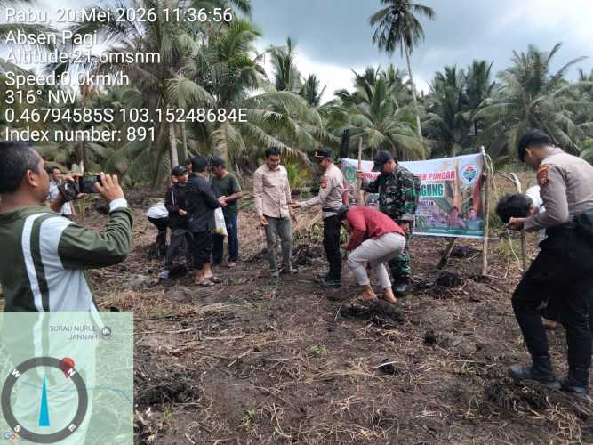 Bangkit dari Gagal Tanam, Sinergi Polsek Enok dan Warga Cerminkan Dinamika Perjuangan Ketahanan Pangan di Simpang Tiga Darat