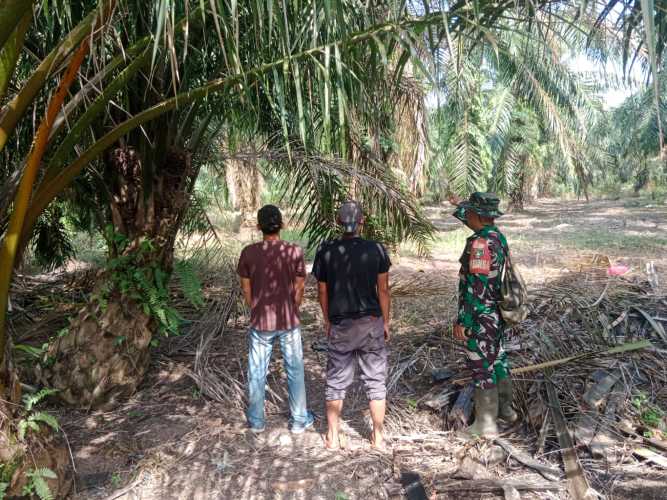 Perkuat Konsolidasi Wilayah, Babinsa Koramil 12/Batang Tuaka Tegasakan Tapal Batas di Desa Tanjung Siantar
