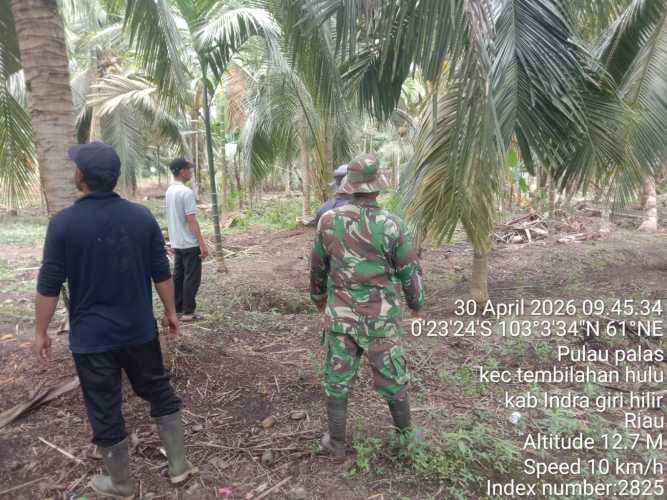 Babinsa Koramil 01/Tbh Gelar Patroli dan Sosialisasi Tapal Batas di Desa Pulau Palas