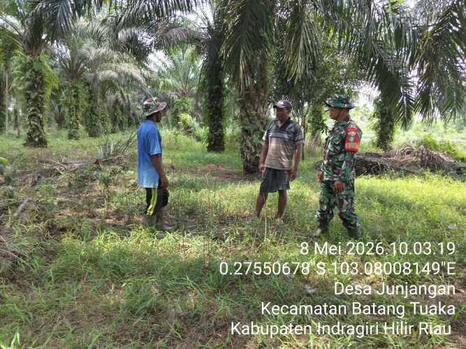 Babinsa Junjangan Gerak Cepat Buru Titik Hotspot, Cegah Karhutla di Desa Sungai Junjangan