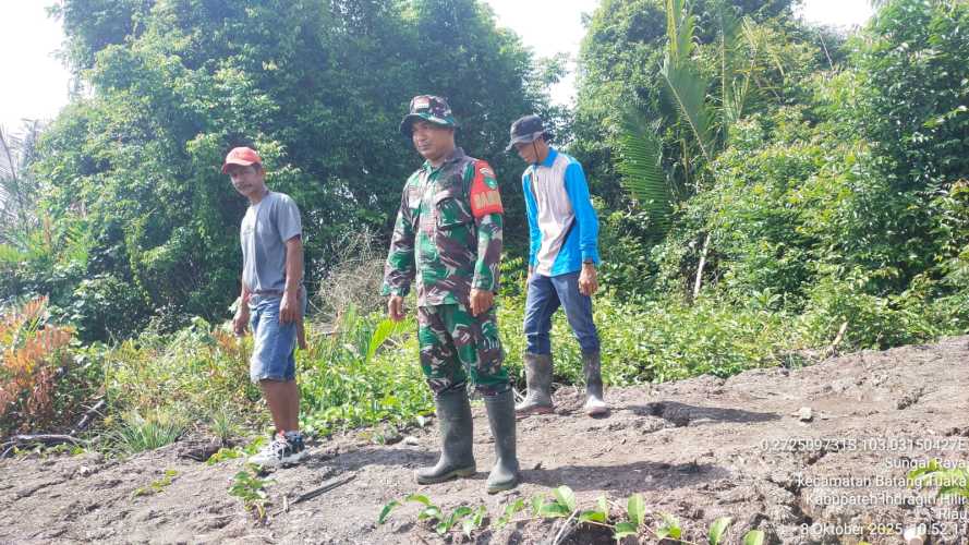 Babinsa Koramil 12/Batang Tuaka Laksanakan Patroli Dialogis Cegah Konflik Agraria di Desa Sungai Raya