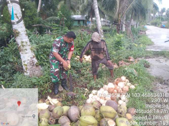 Tingkatkan Harga Jual Kelapa, Babinsa Bantu Petani dalam Pengolahan Hasil