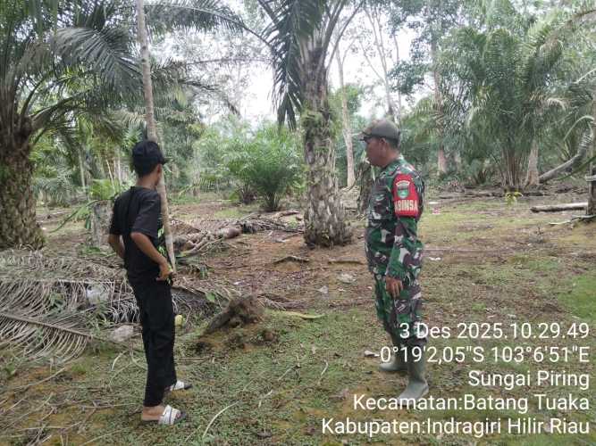 Babinsa  Batang Tuaka upaya berkelanjutan dalam menjaga lingkungan serta mencegah terjadinya bencana Karhutla di wilayah rawan.