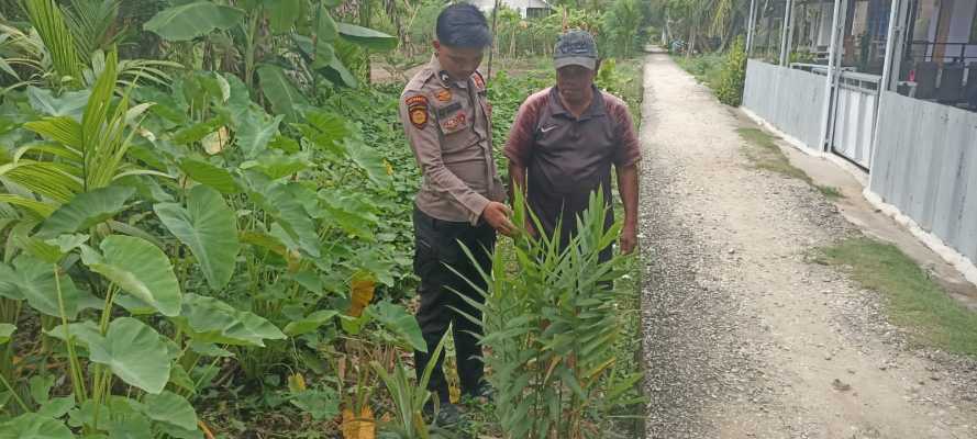 Majukan Kemandirian Warga Dalam Ketahanan Pangan, Personel Polsek Enok Dampingi Warga Binaan Pantau Tanaman pekarangan