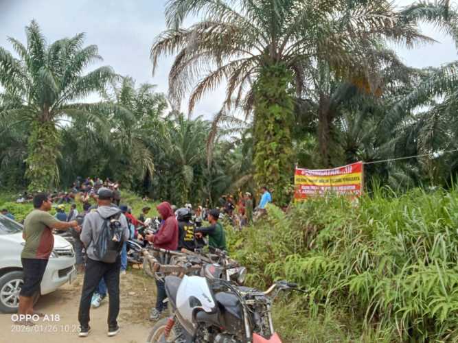 Masyarakat Inhu Klaim Kebun Sawit Milik Turun-Temurun, Tolak KSO PT Agrinas-PT TDE