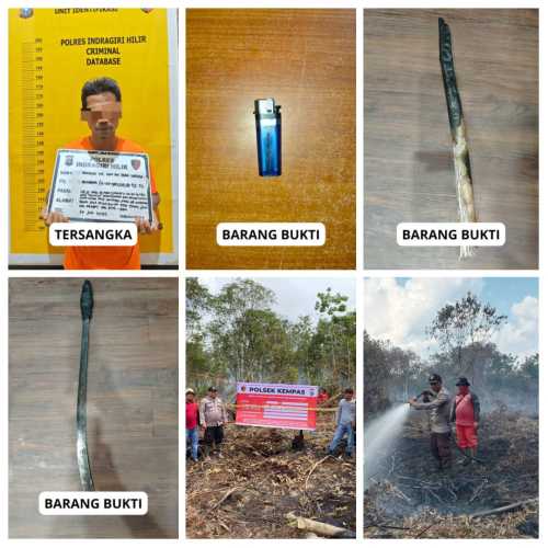 Polres Inhil Tangkap Pelaku Pembakaran Lahan Gambut Seluas 5 Hektare di Kempas