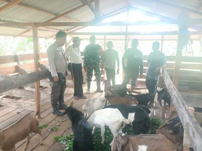 Bhabinkamtibmas Polsek Enok menjalin kemitraan dan mendukung pengembangan ternak kambing: