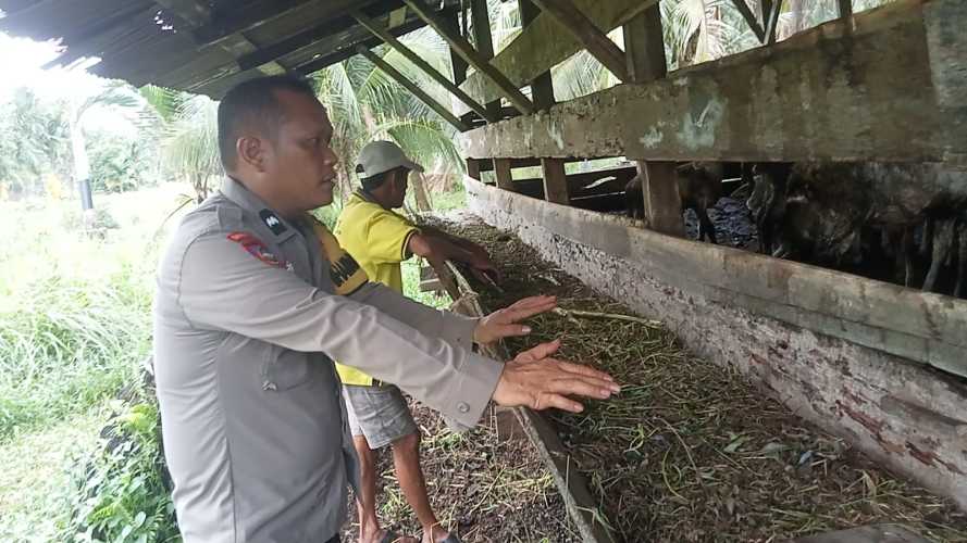 Dukung Asta Cita Presiden, Bhabinkamtibmas Polsek Pulau Burung Sambangi Warga dan Cek Perkembangan Ternak Kambing