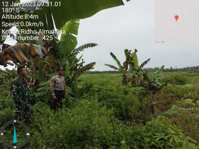 Babinsa Memantau Lahan Petani Setempat