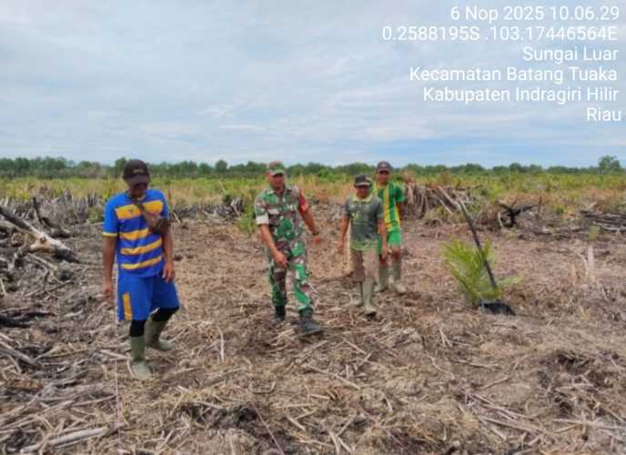 Babinsa Koramil 12/Btk Laksanakan Sosialisasi dan Patroli Tapal Batas di Sungai Cakah, Pantau Proses Clearing Lahan Kelapa Unggulan Petani