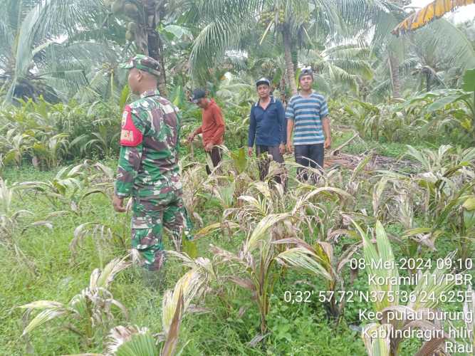 Serda Hendra Kardi Patroli di Lahan Pertanian Warga