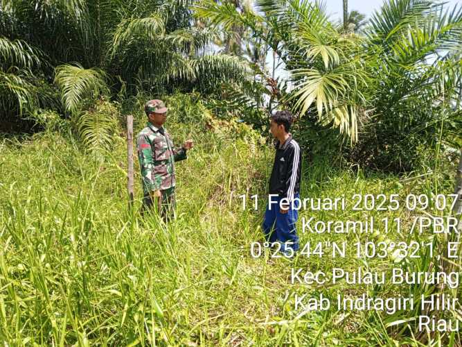 Babinsa Manunggal Jaya Jaga Keberlangsungan Ekosistem Lahan dan Hutan