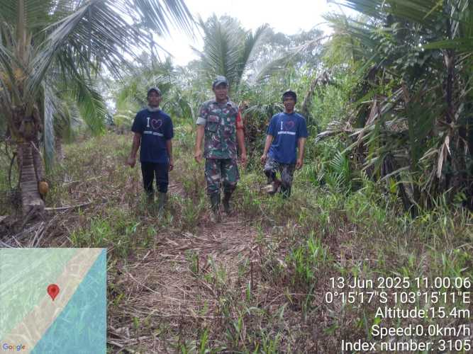 Babinsa Koramil 12/Batang Tuaka Lakukan Pengawasan Titik Api di Lahan Perkebunan Masyarakat