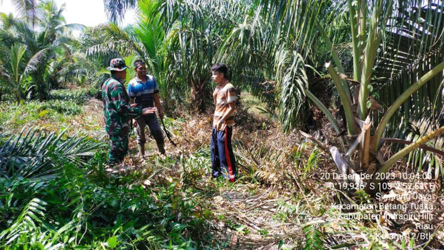 Serda Siswanto Berperan Ganda Menciptakan Kelestarian Lingkungan