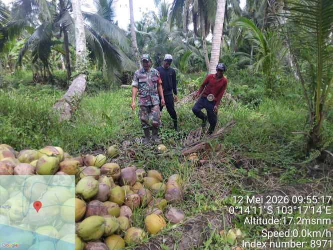 Jaga Klaritas Batas Wilayah, Babinsa Koramil 12/Batang Tuaka Libatkan Masyarakat dalam Patroli Rutin
