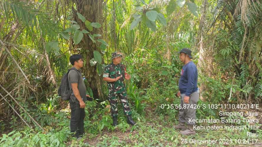 Babinsa Simpang Jaya  melaksanakan patroli tapal batas: