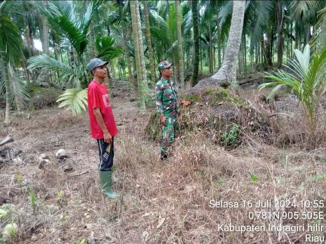 Babinsa Ringin Jaya Kembali Lakukan Adapatasi Lingkungan Terhadap Karhutlah