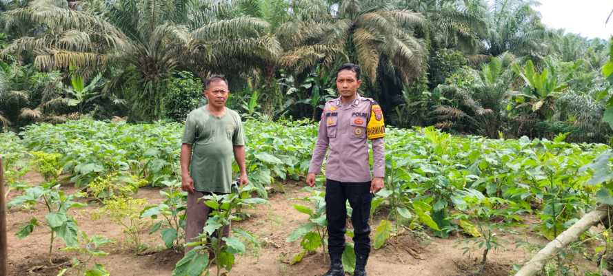 Bhabinkamtibmas Polsek Labuhan Ruku Dukung Program Ketahanan Pangan Pemerintah