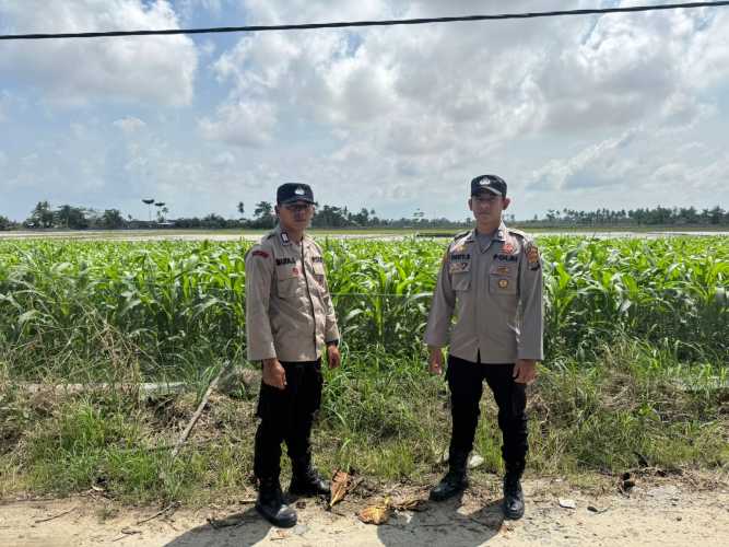 Bhabinkamtibmas Mendukung Program Ketahanan Pangan Pemerintah di Desa Aek Nauli