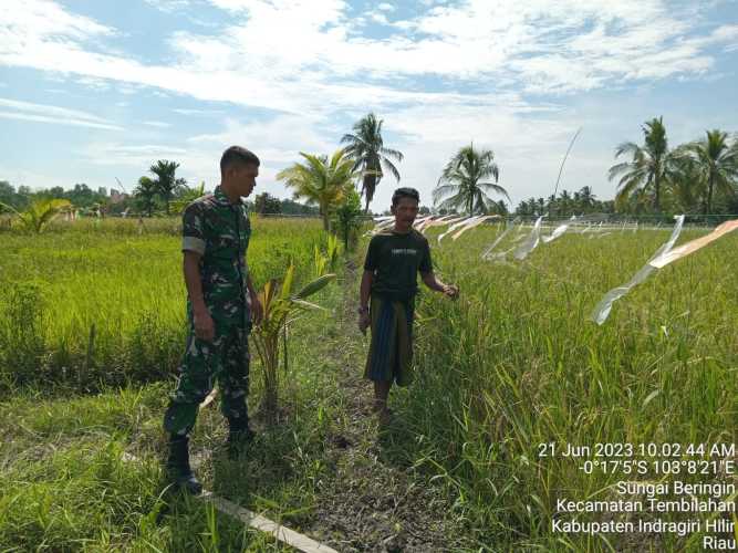 Sertu Deni sutrisno komsos bersama sesepuh masyarakat sungai beringin