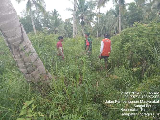 Babinsa Sungai Beringin Terus Update Perkembangan Karhutlah