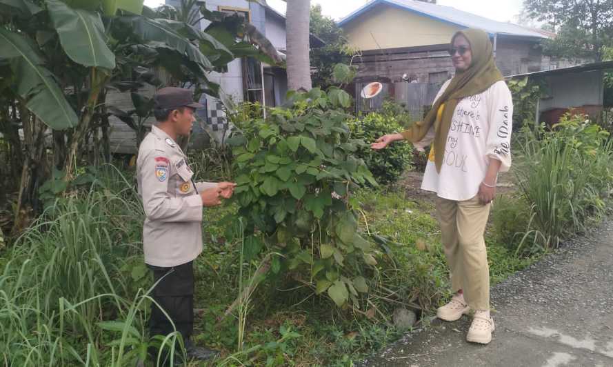 Tingkatkan Produktivitas Ekonomi Warga Binaan , Personel Polsek Enok Pantau Tanaman Di Perkarangan Rumah