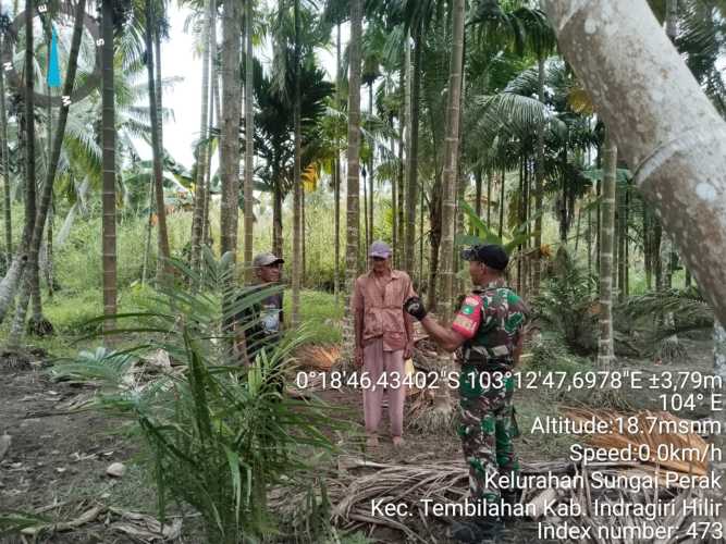 Babinsa Sungai Perak Serka Jondri Intensifkan Patroli dan Sosialisasi Tapal Batas, Perkuat Sinergi dengan Masyarakat Demi Cegah Konflik Wilayah