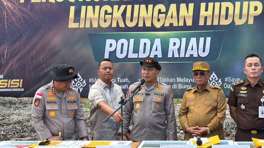 Geram Lihat Mangrove Dirusak, Kapolda Riau: Ini Benteng Masyarakat Pesisir, Tempat Satwa Berkembang Biak!