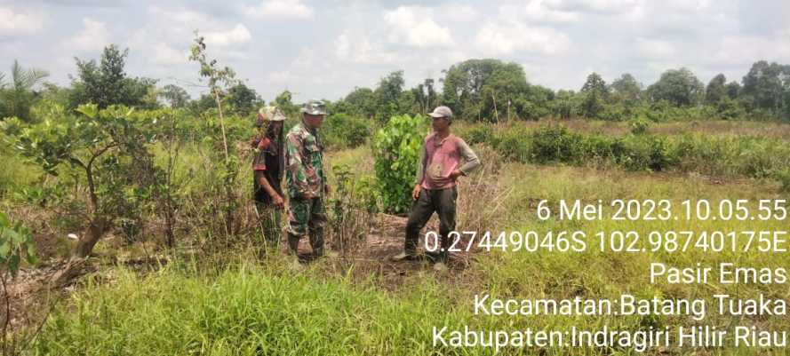 Serda Fero Kelola Perkebunan Lokal dari Karhutlah