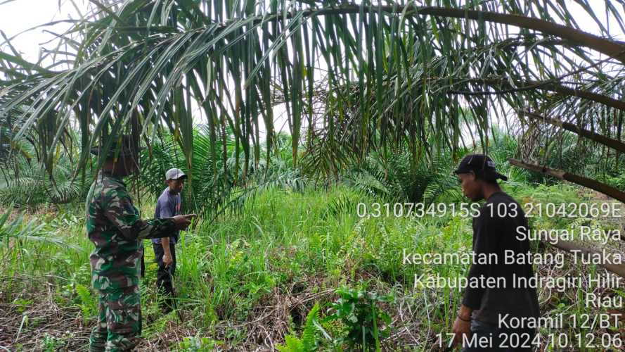 Siaga Karhutlah, Serka Martison Monitoring Areal Warga