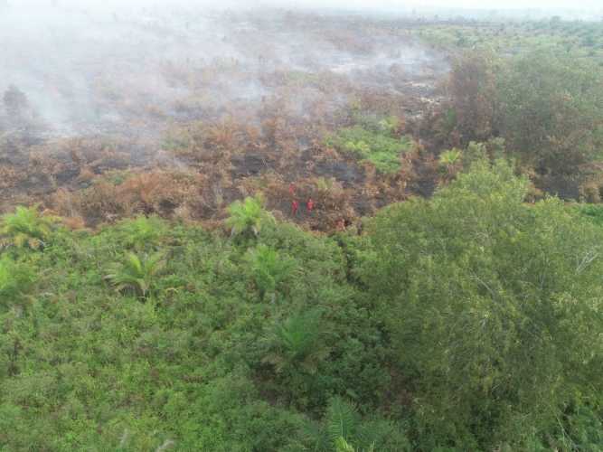 Satgas Karhutla Lakukan Pemadaman Api di Rupat Utara, Dumai Kota, dan Pelalawan
